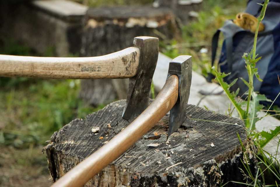 Two axes with their heads embedded into a tree stump.